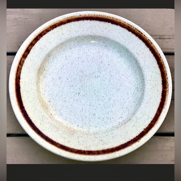 Mid Century Vtg Discontinued Homer Laughlin Speckled Stoneware Plate - Picture 4 of 8